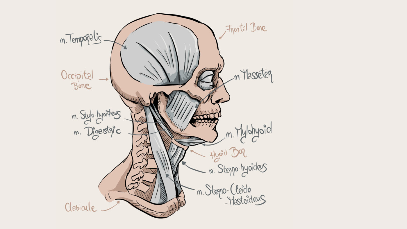Technical drawing of a human body featuring the seminar: Neural Manipulation Innovative Approach, by Joan Montserrat.